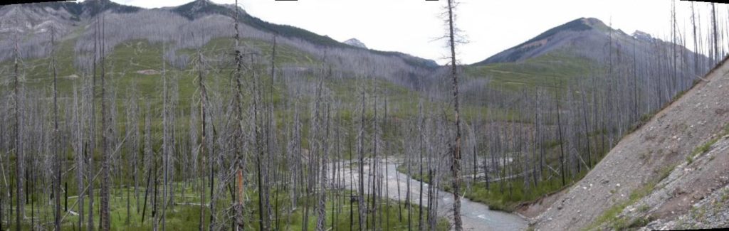 Russell Ridge Wide View